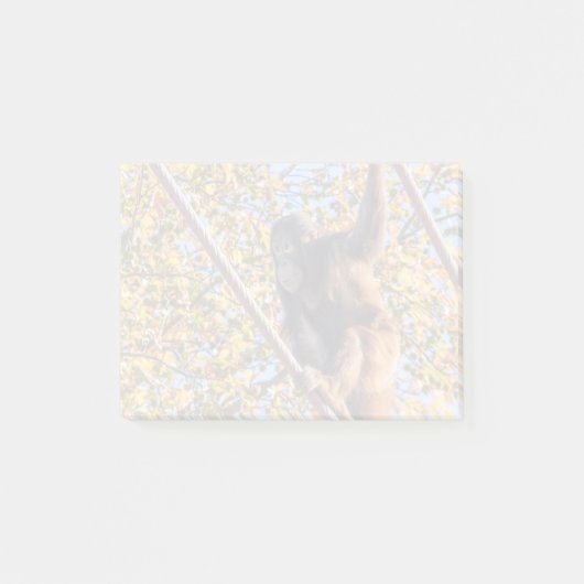 Orangutan Redd国立動物園ポストイットノート ポストイット (正面)