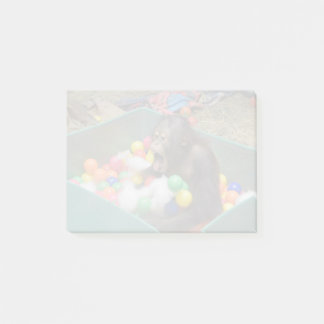 Orangutan Redd国立動物園ポストイットノート ポストイット