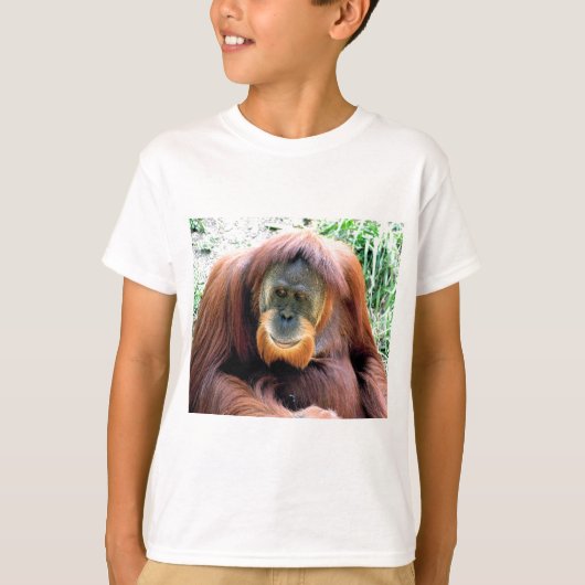 Orangutan Tシャツ (正面)