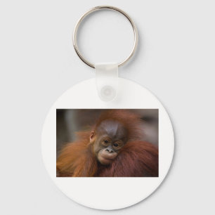 Orangutangのベビー キーホルダー