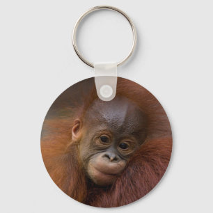 Orangutangのベビー キーホルダー