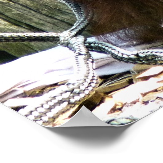 ORANGUTANS ポスター (角)