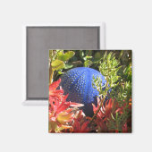 Orbマグネット付き水中植物園 マグネット (正面/裏面)