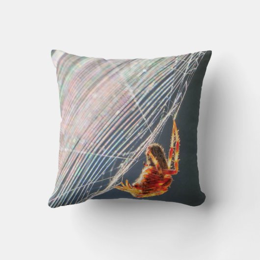 Orb Spider on Web  クッション (裏面)