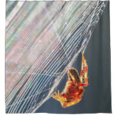 Orb Spider on Web  シャワーカーテン (正面)