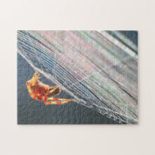 Orb Spider on Web  ジグソーパズル (横)