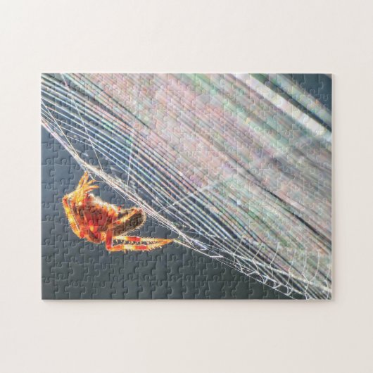 Orb Spider on Web ジグソーパズル (横)