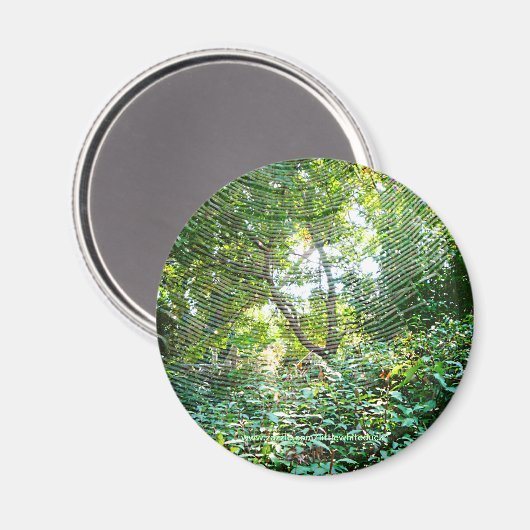 Orb Spider Web – マグネット (正面/裏面)