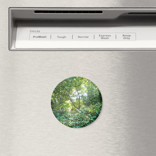 Orb Spider Web – マグネット (インサイチュ (食洗機))