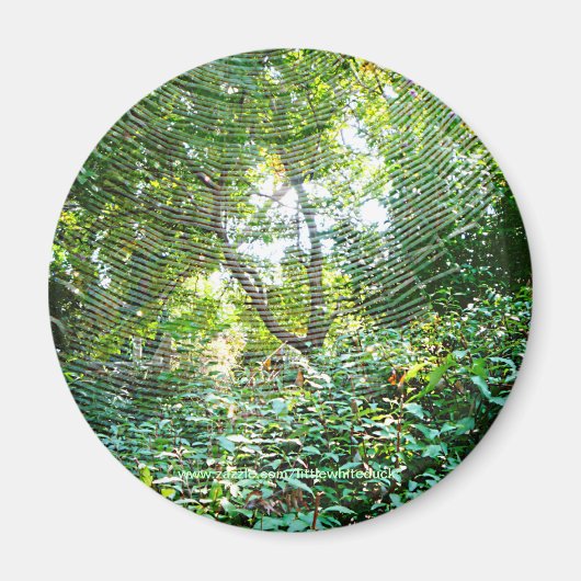 Orb Spider Web – マグネット (正面)