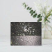 Orb Weaverの影 – スパイダーフォト ポストカード (スタンド正面)