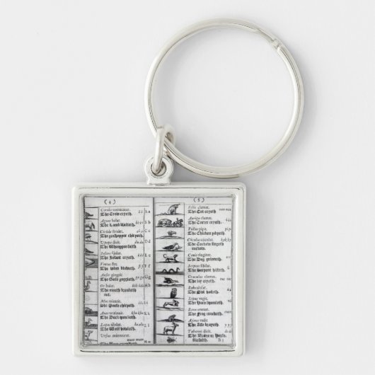 「Orbis Sensualium Pictusからの2ページ キーホルダー (正面)