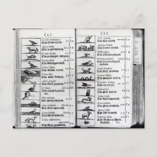 Orbis Sensualium Pictusより2ページ ポストカード (正面)