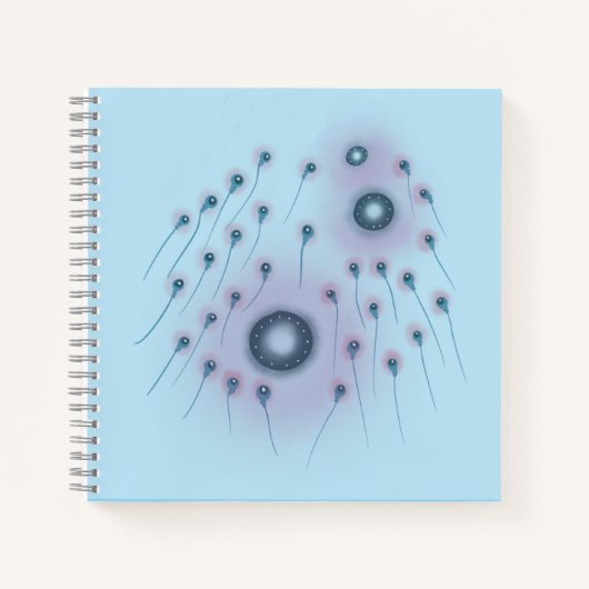 Orbus Ovulum ノートブック (正面)