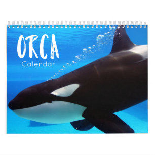orca 2022カレンダーおもしろい&カワイオカ カレンダー