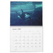 orca 2023カレンダーおもしろい&かわいいorcas カレンダー (1月 2027)