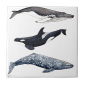 Orca, ballena jorobada y ballena gris タイル (正面)