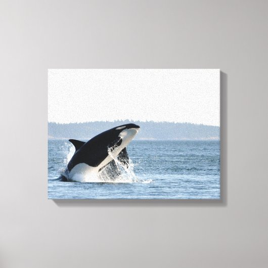 Orca Canvas Printのブリーチング キャンバスプリント (正面)