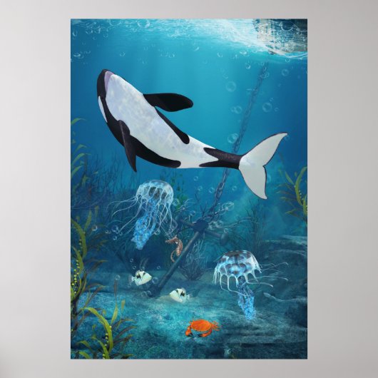 Orca IIポスター ポスター (正面)
