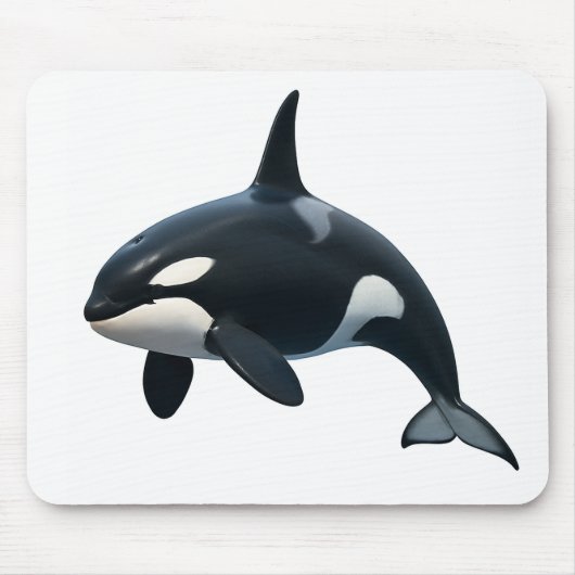 Orca in Motion マウスパッド (正面)