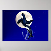Orca Moon Poster ポスター (正面)