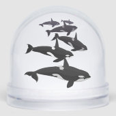 Orca Snow Globe Custom Killer Whale Snow Globe (正面)