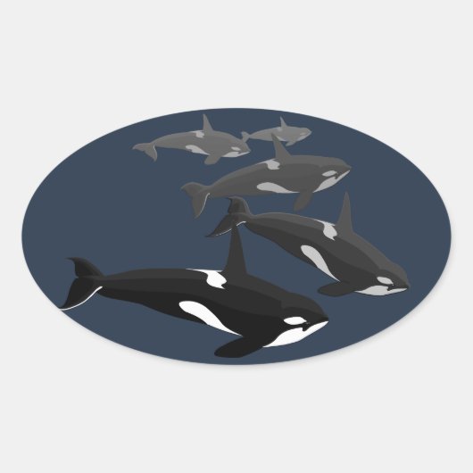 Orca Stickers Killer Whale Stickers 楕円形シール (正面)