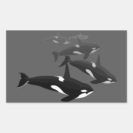 Orca WhaleスタンプKiller Whale Artスタンプ 長方形シール (正面)