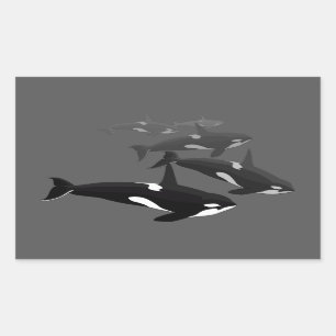 Orca WhaleスタンプKiller Whale Artスタンプ 長方形シール