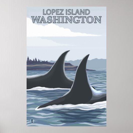 Orca Whales #1 - Lopez, Washington ポスター (正面)