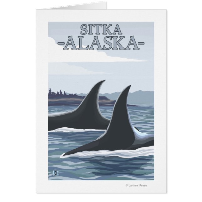 Orca Wheres #1 – アラスカ，シトカ (正面)