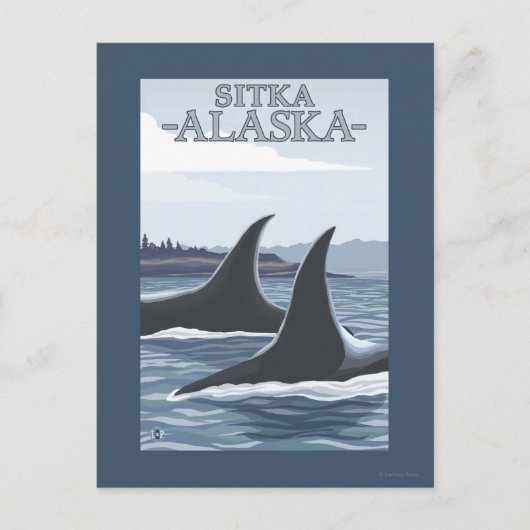 Orca Wheres #1 – アラスカ,シトカ ポストカード (正面)