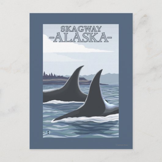 Orca Wheres #1 – アラスカ,スカイウェイ ポストカード (正面)
