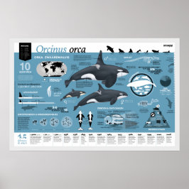 Orcaggraphicポスター – Nederlandse editie ポスター