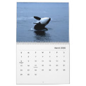 Orcasウォールカレンダー カレンダー (3月 2026)