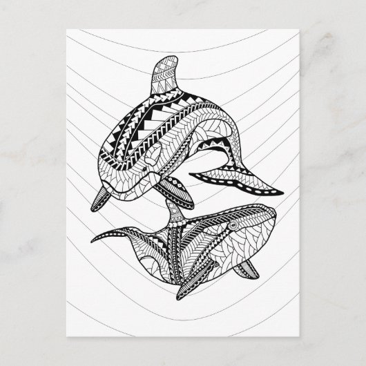 Orcas大人2色はがき ポストカード (正面)