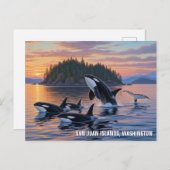 Orcas in Washington san juan islands travel ポストカード (正面/裏面)