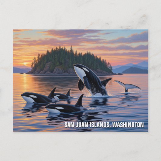 Orcas in Washington san juan islands travel ポストカード (正面)