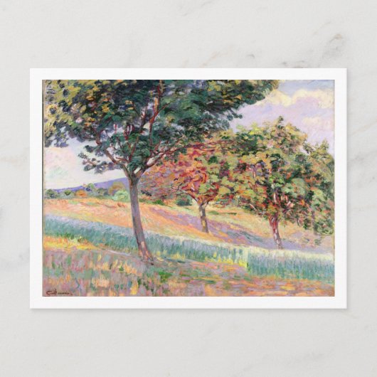 Orchard at St. Cheron, 1893 (キャンバス油) ポストカード (正面)