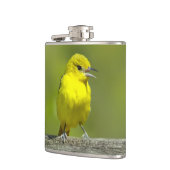 Orchard Oriole - オリジナル写真 フラスク (左)