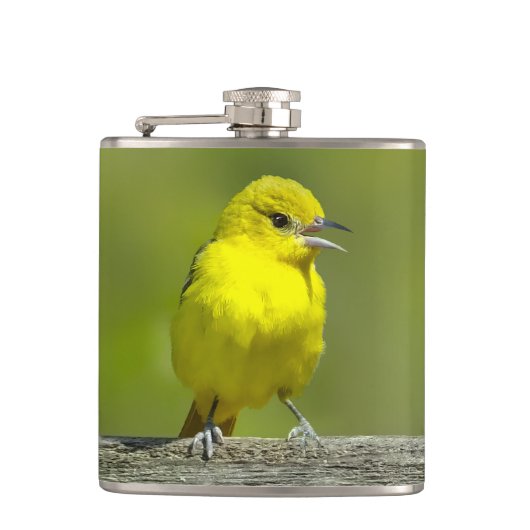Orchard Oriole - オリジナル写真 フラスク (正面)