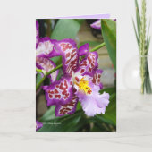 Orchidファンシーな女性 カード (正面)