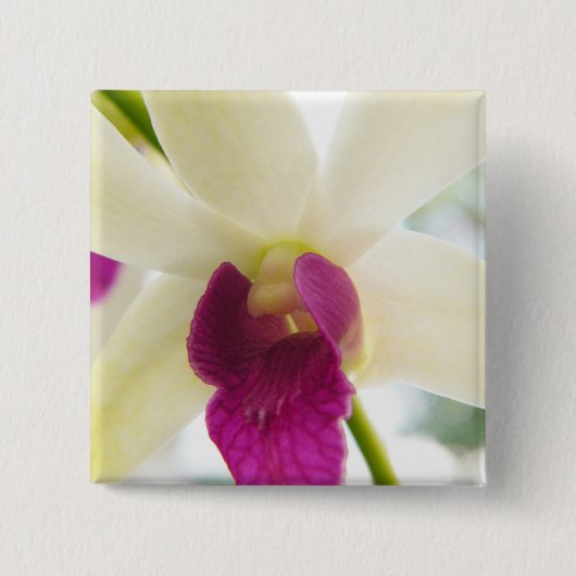 Orchid夫人 缶バッジ (正面)