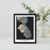 Orchid 002はがき ポストカード (スタンド正面)