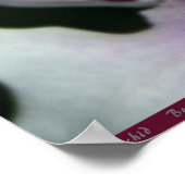 Orchid Beallaraポスター–24x36 – その他のサイズも ポスター (角)