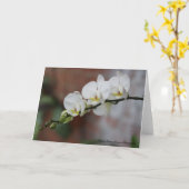 Orchid Blooms カード (黄色い花)