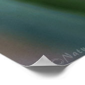 Orchid Epi Orangeポスター–40x60 – その他のサイズも ポスター (角)