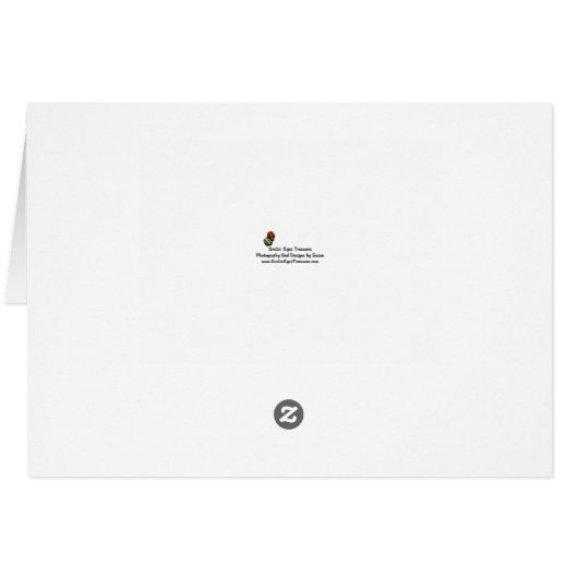 Orchid Flower Close Up Photography Note Card (裏面横)