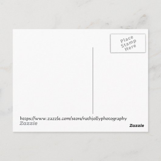 Orchid Insanity on Black, Washington, D.C ポストカード (裏面)