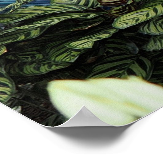 Orchid Peacock ポスター (角)